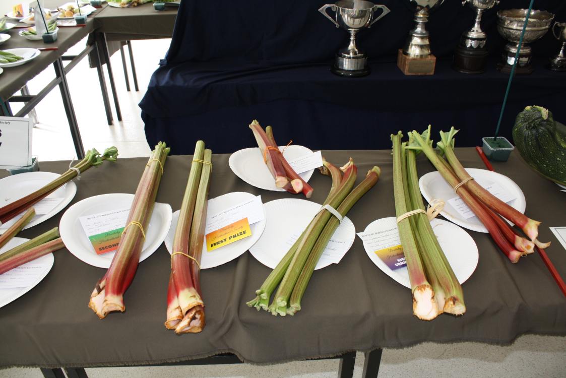 ../Images/64th Bunclody Horticultural Show 2015 - 47.jpg